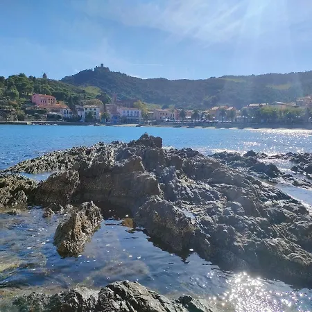 Apartament La Perle De A 100 Metres De La De Sable Fin Avec Piscine Et Parking Collioure