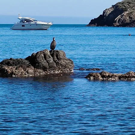 La Perle De A 100 Metres De La De Sable Fin Avec Piscine Et Parking Apartment