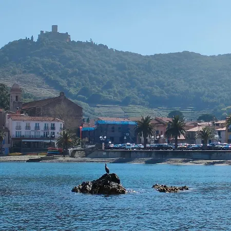 La Perle De A 100 Metres De La De Sable Fin Avec Piscine Et Parking Collioure