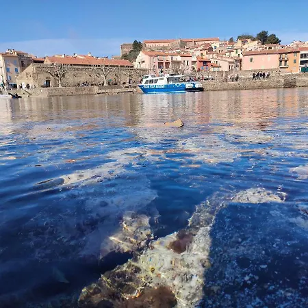 La Perle De A 100 Metres De La De Sable Fin Avec Piscine Et Parking * Collioure